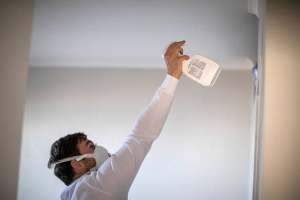 Best Fast Mold Removal  in Morenci, MI