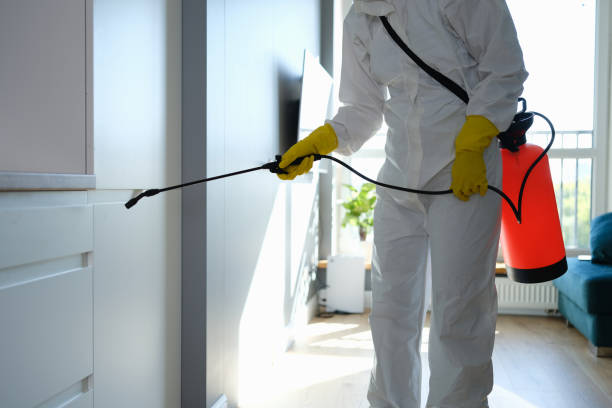 Best Mold Damage Repair  in Morenci, MI